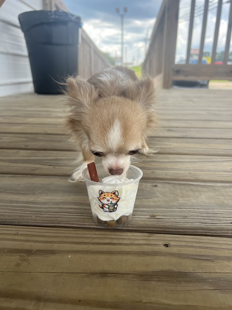 Shu’s Boba cafe photo 4