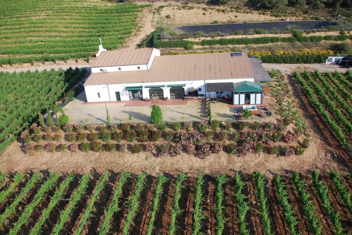 Bodegas Morosanto
