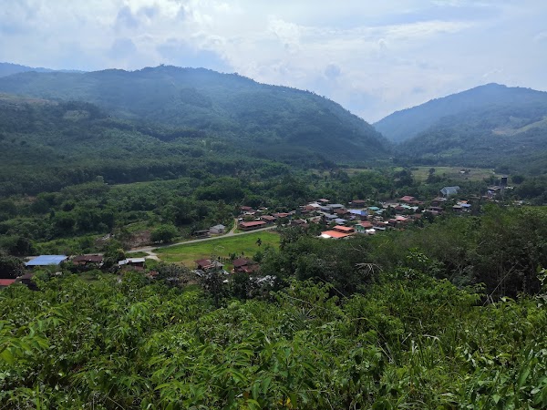 Jaya Prima Agro - Photo 1