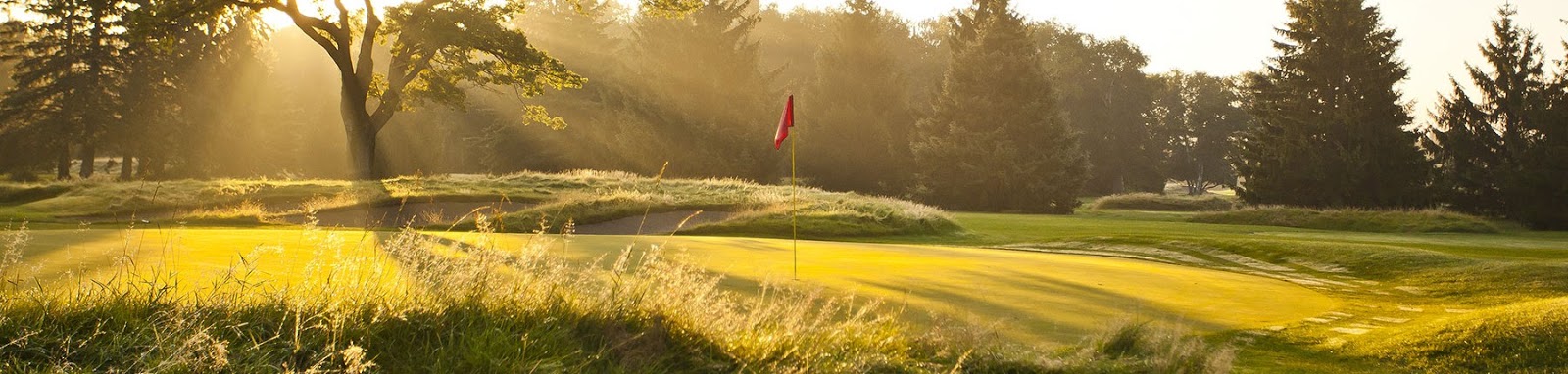 Pine Beach East at Madden's on Gull Lake