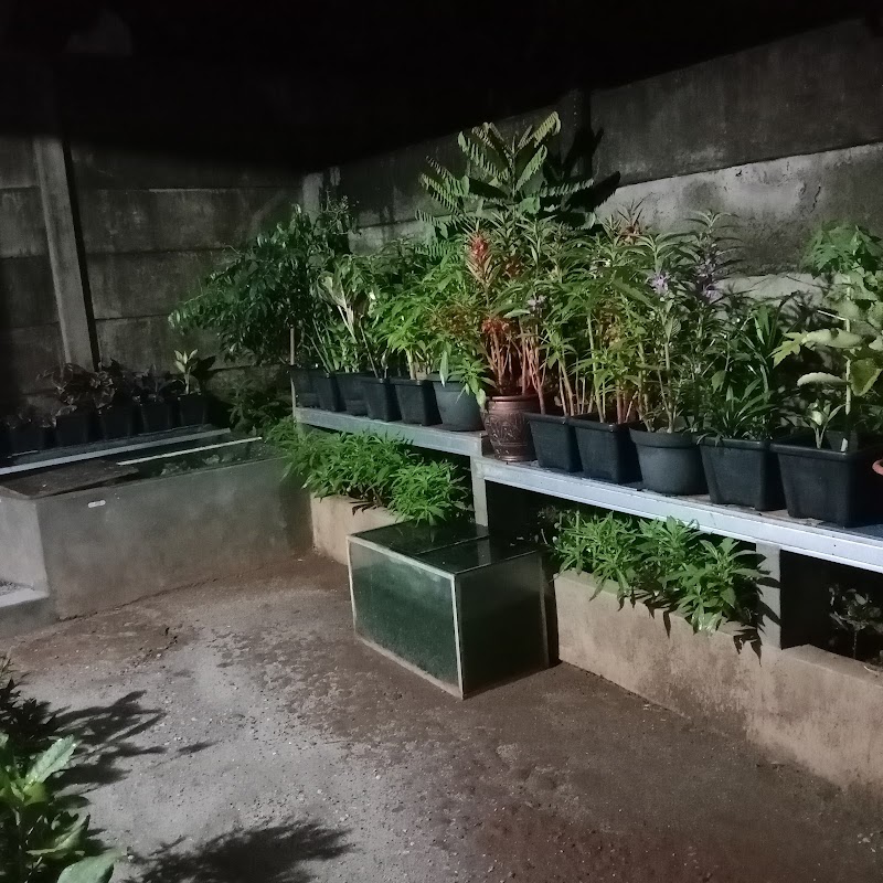 Kontrakan Kampung Bulak Cinangka Sawangan Depok