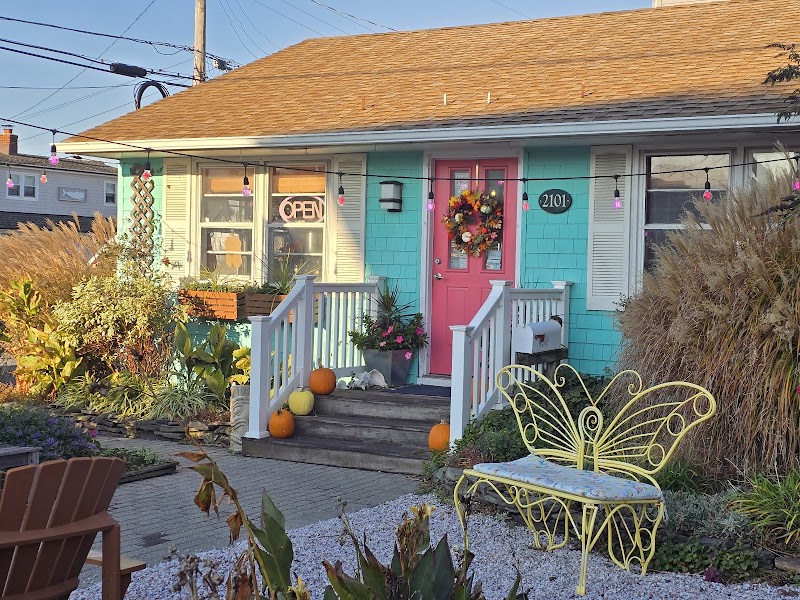 Baked on the Beach photo 4