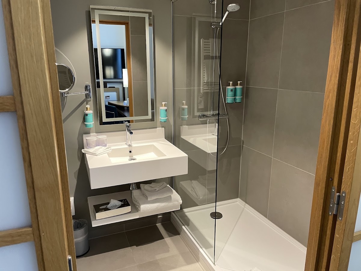 Novotel Genève Centre, dog-friendly hotel, photo 2