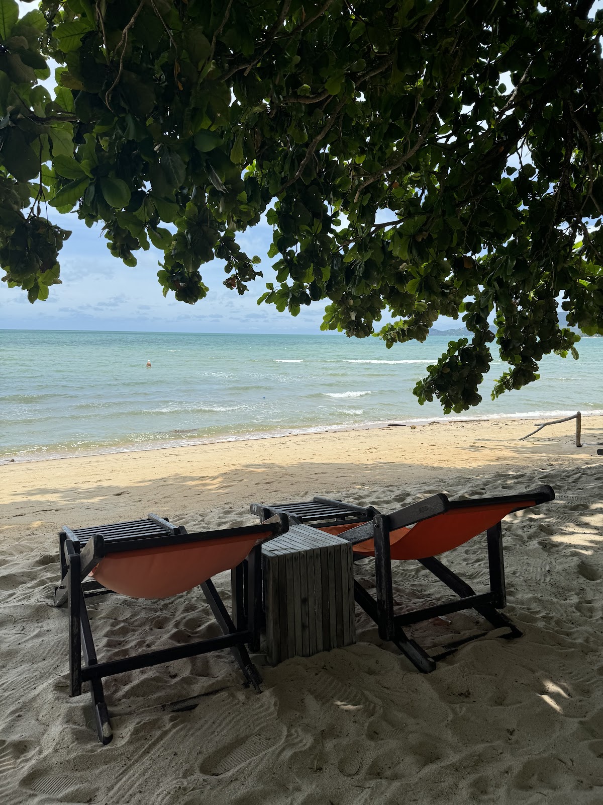 Bikini bar & bistro - Main view