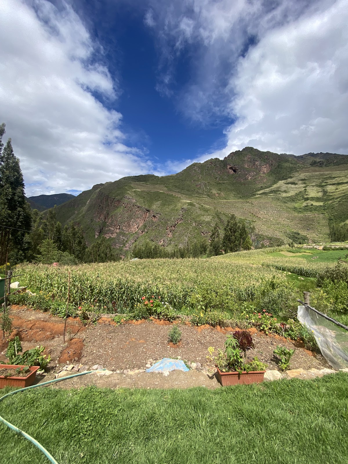 Ayahuasca Spiritual Center Cusco — 3