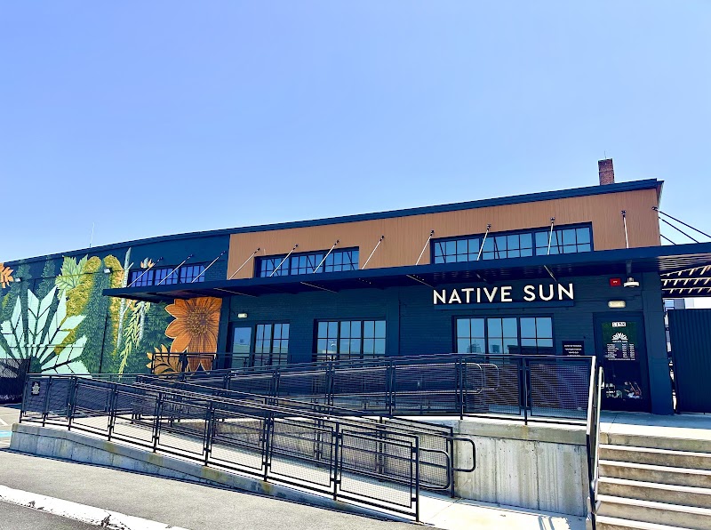 Video tour of Native Sun Dispensary South Boston retail environment