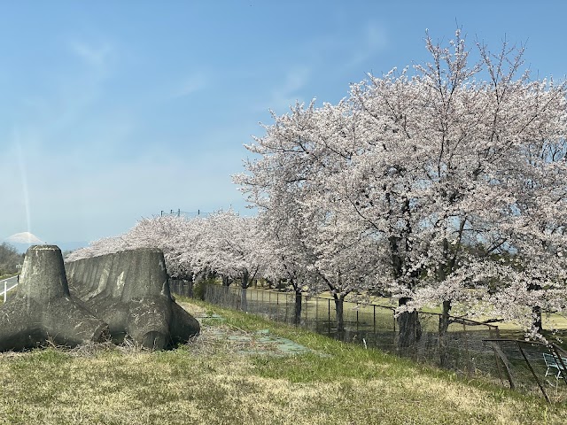 Tamamura Park Golf Club - Photo 2