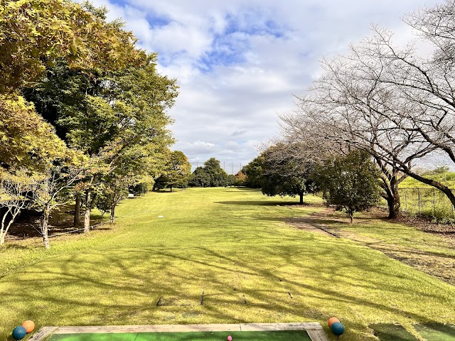 Tamamura Park Golf Club - Photo 1