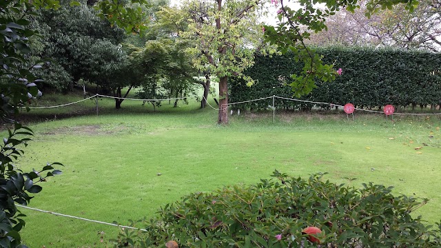 Tamamura Park Golf Club - Photo 8