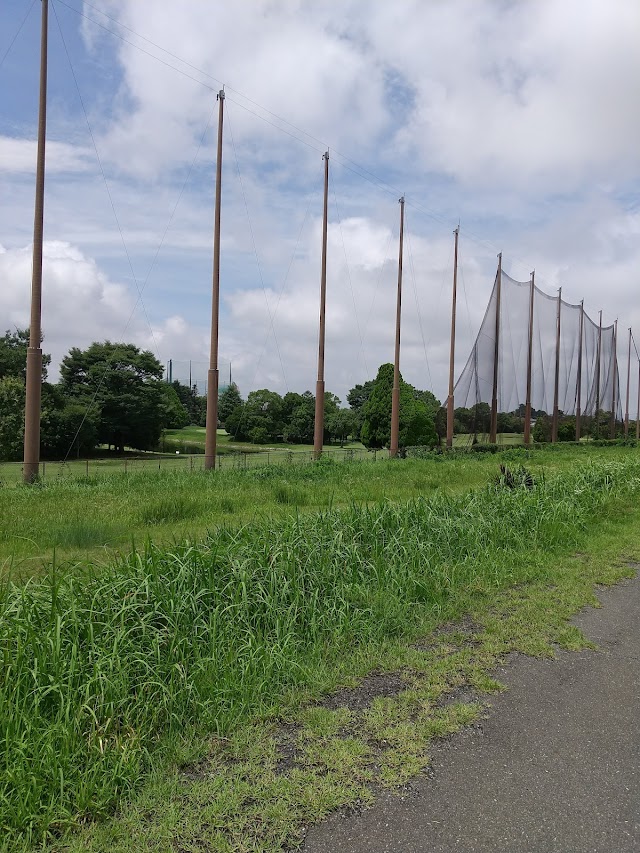 Tamamura Park Golf Club - Photo 10
