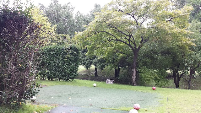 Tamamura Park Golf Club - Photo 6