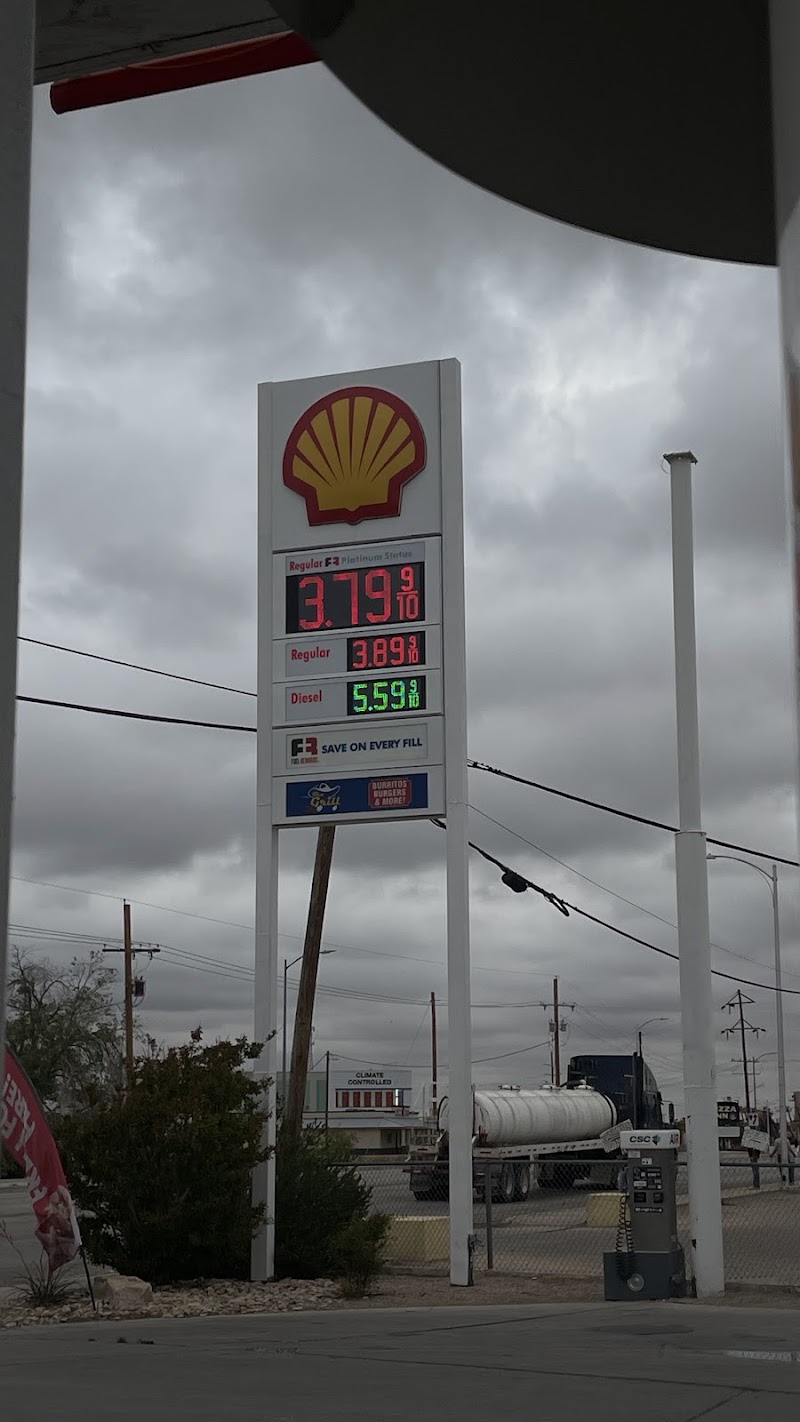 Shell photo 4