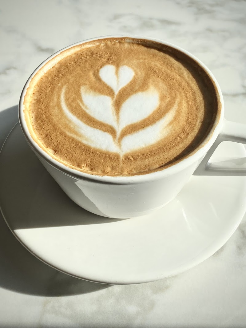 LaPluma Coffee & Wine photo 3