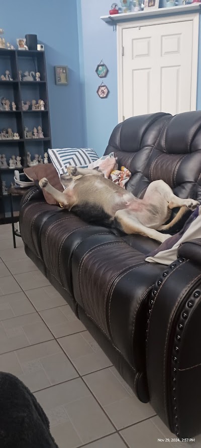 RISE New Port Richey