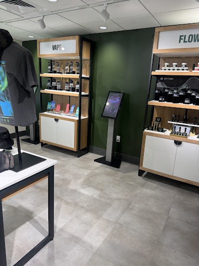 RISE New Port Richey