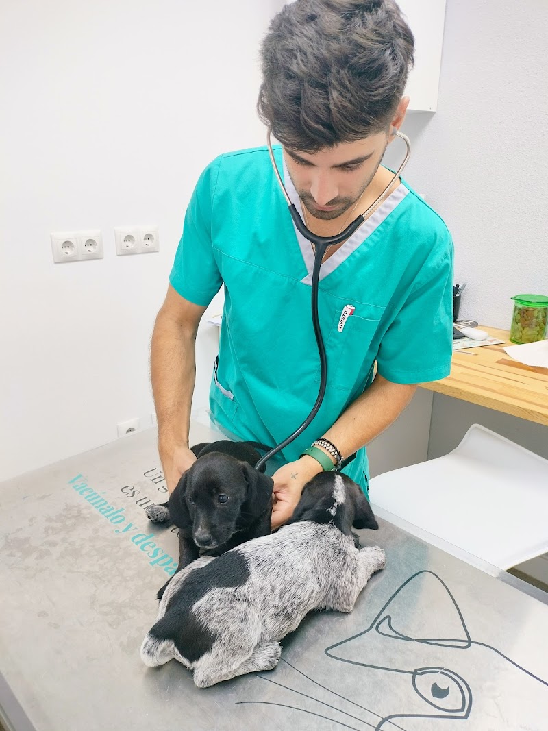 Clínica Veterinaria Los Ángeles Veterinarios