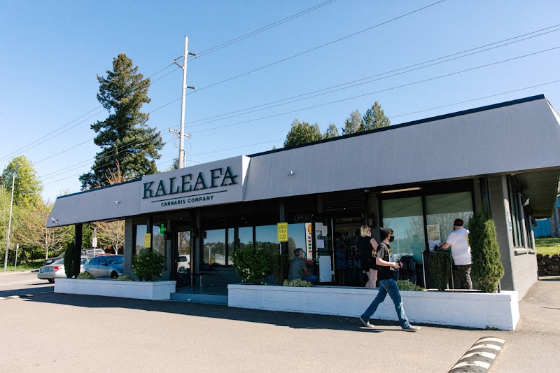Video tour of Kaleafa Cannabis Co. retail environment