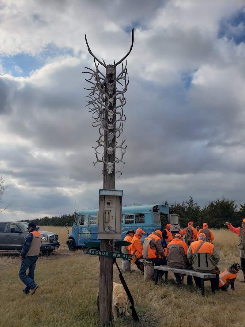 Korkow Ranch Pheasant Hunting - Photo 2