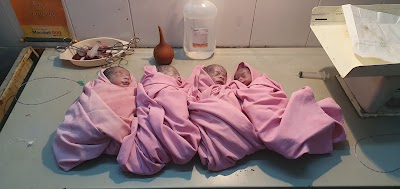 Yashodakrishna Hospital - Image 3