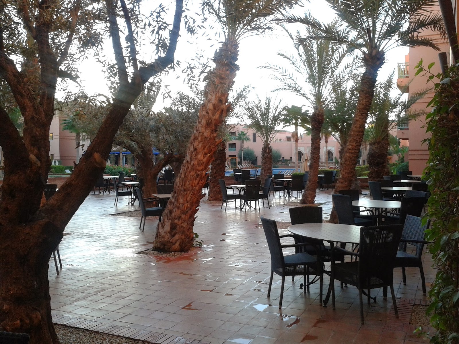 Pacha Marrakech - photo 2