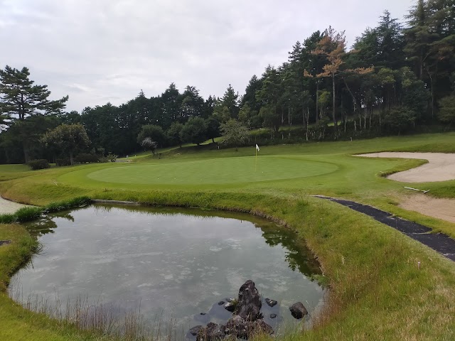 Fuji Ace Golf Club - Photo 3