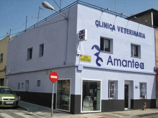 Clínica Veterinaria Amantea