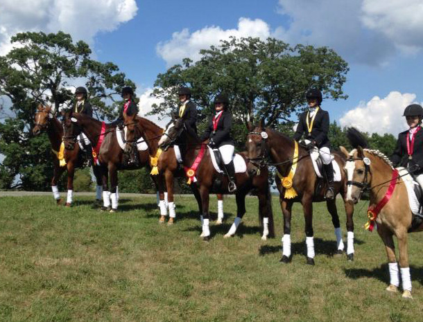 Woodland Horse Center