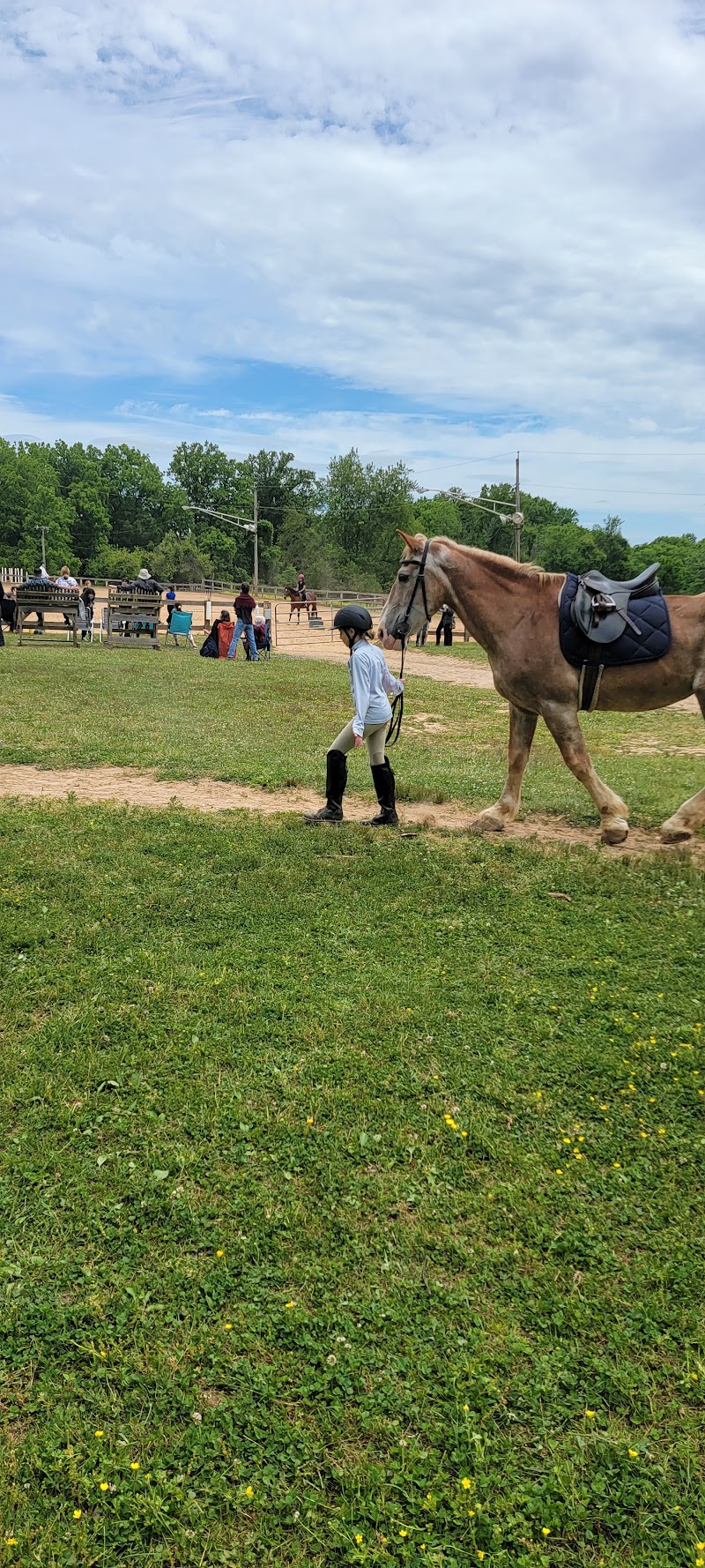 Woodland Horse Center - Photo 1
