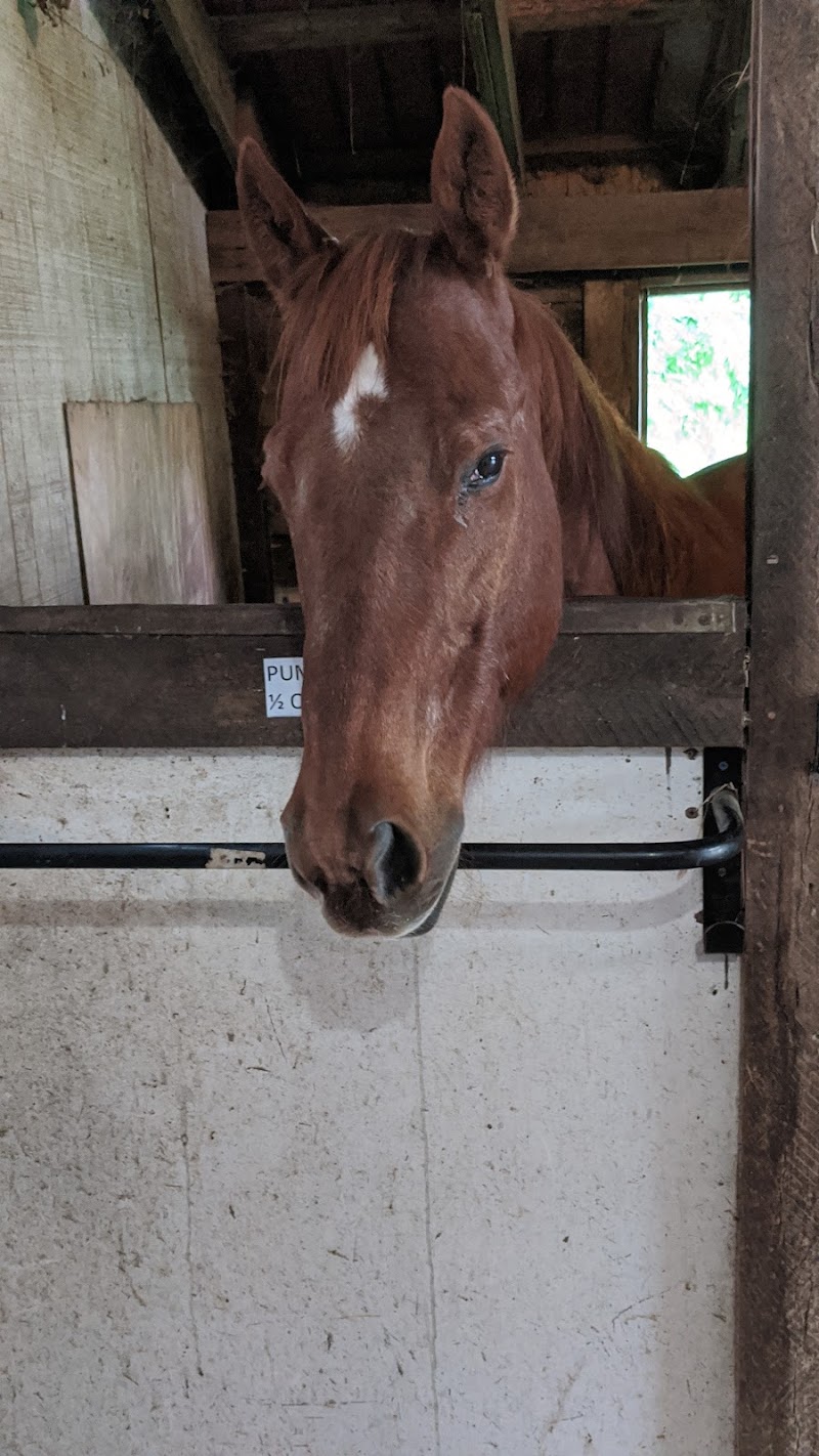 Woodland Horse Center - Photo 3