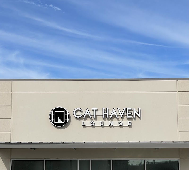 Cat Haven Lounge