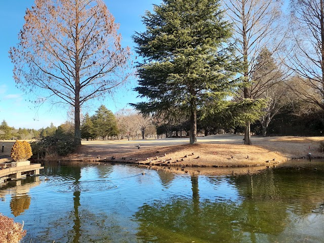 Miyanomori Country Club - Photo 9