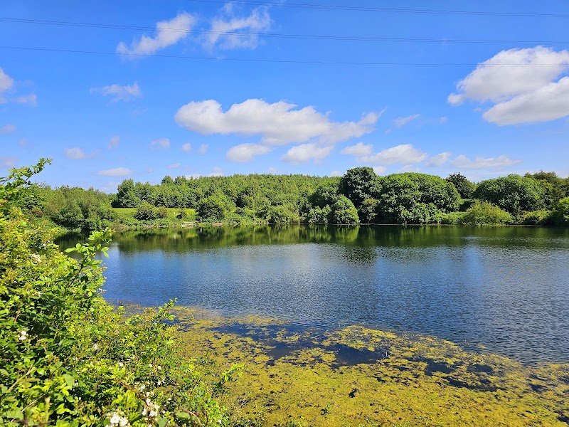 Stargate Ponds and Bewes Hills