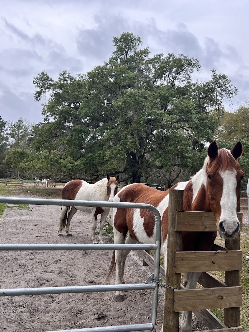 The Griffin Ranch - Photo 5