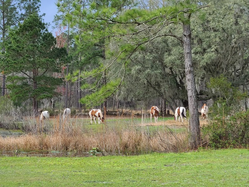 The Griffin Ranch - Photo 3