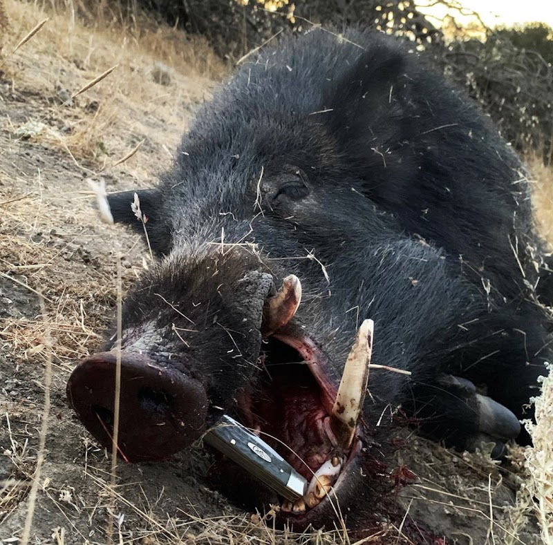 SoCal Outfitters - Photo 4