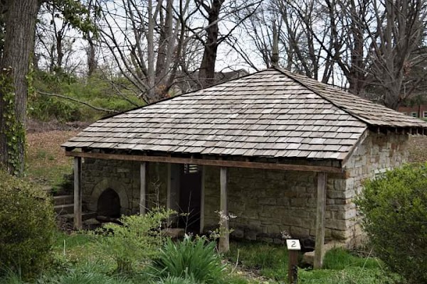 Photo by Bryan Miller