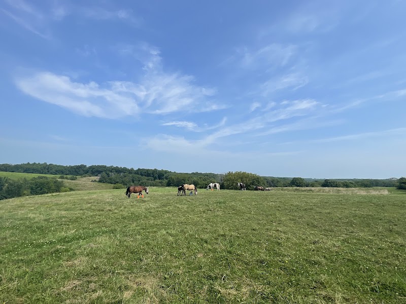 JR Ranch - Photo 2