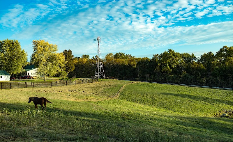 JR Ranch - Photo 6