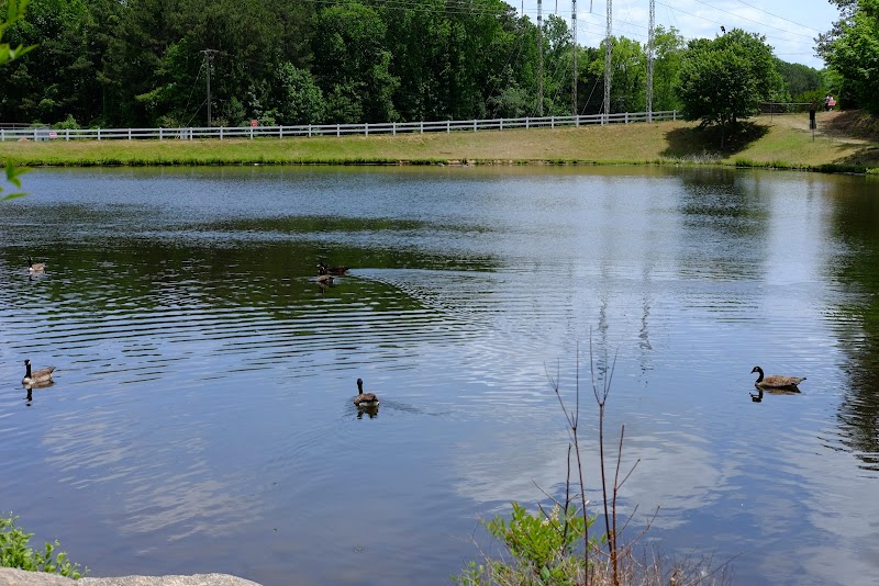 Deer Lick Park photo 4