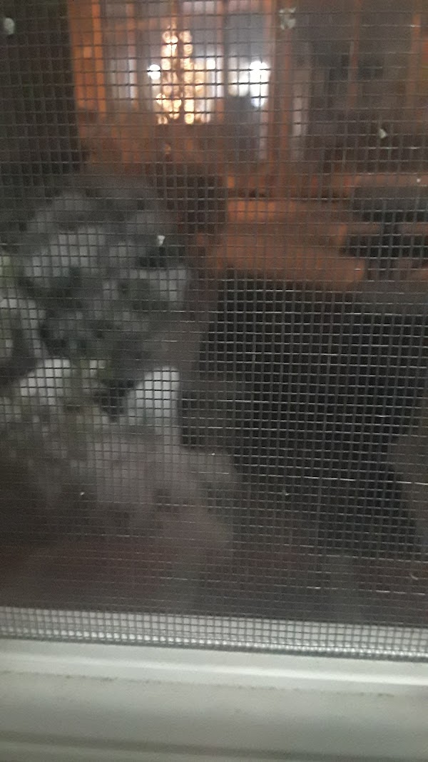 Photo by teresa ashton