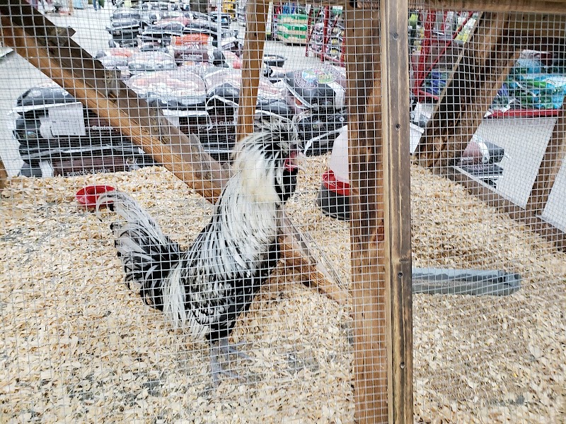 Bonita Springs Rural King photo