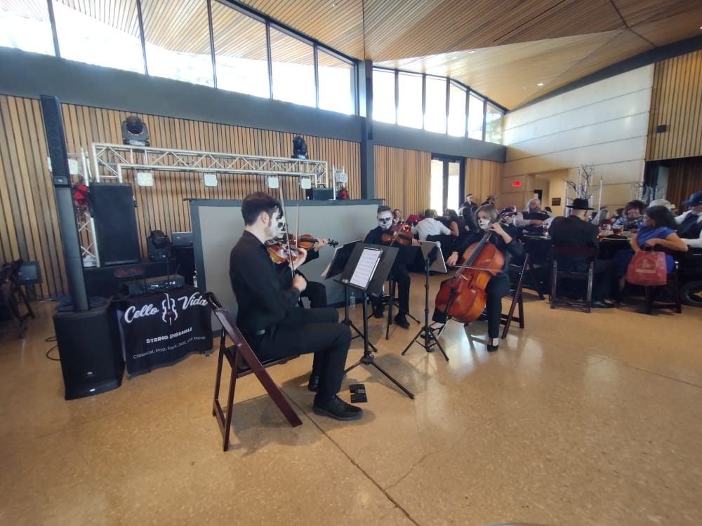 Cello Vida String Quartet: Google Places image 5