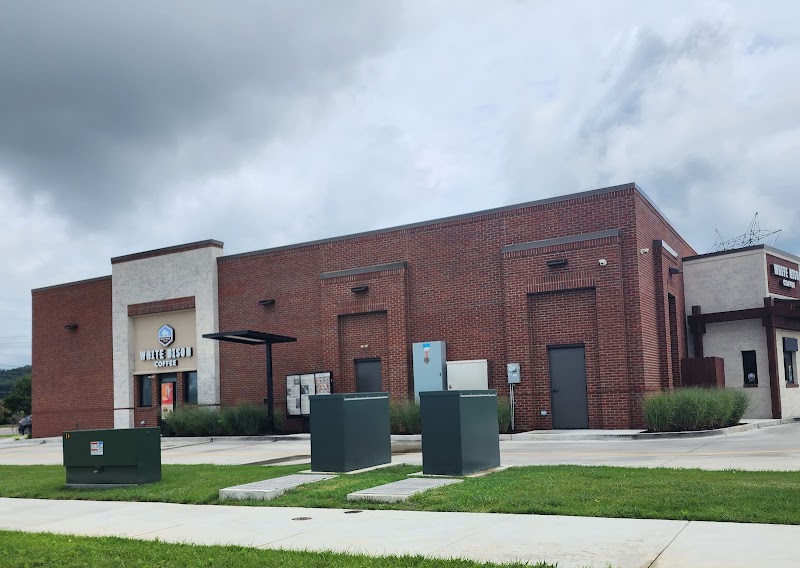 White Bison Coffee/ Shell photo 1