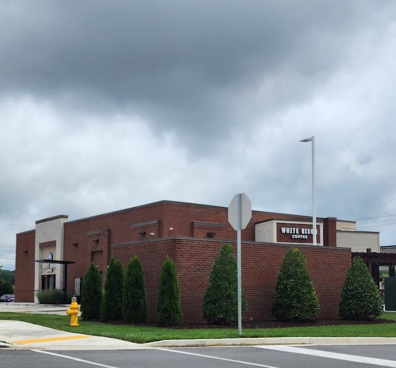 White Bison Coffee/ Shell photo 3