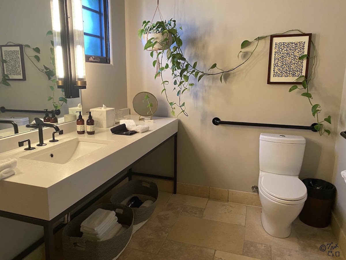 North Block, dog-friendly hotel, photo 3