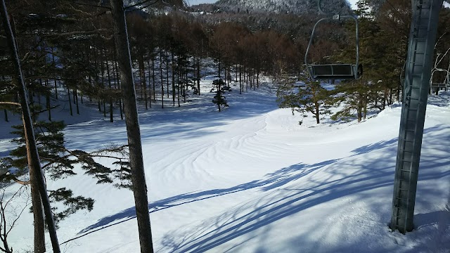 Shiga Kogen Country Club - Photo 8