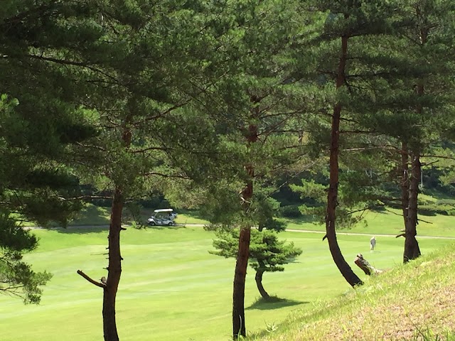 Shiga Kogen Country Club - Photo 9