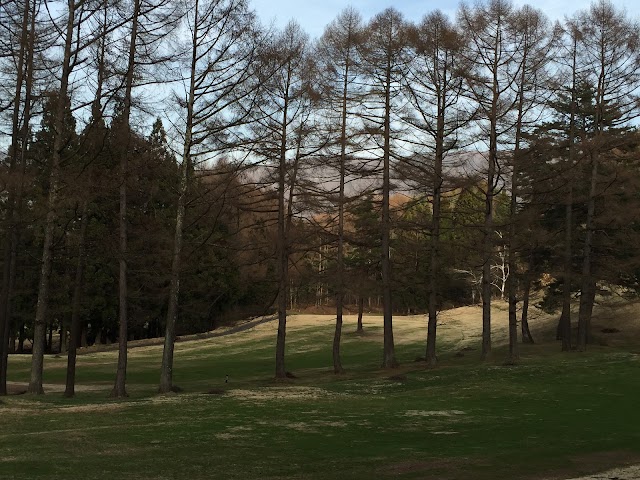 Shiga Kogen Country Club - Photo 10