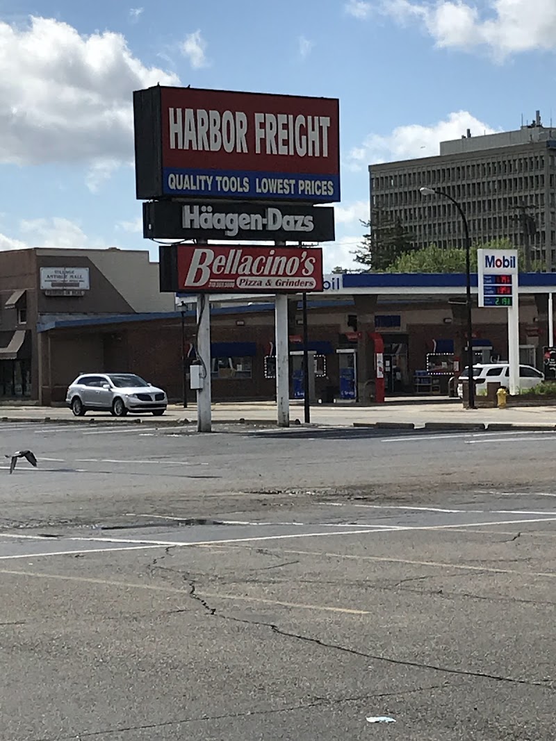 Speckles & Splatter Art Studio