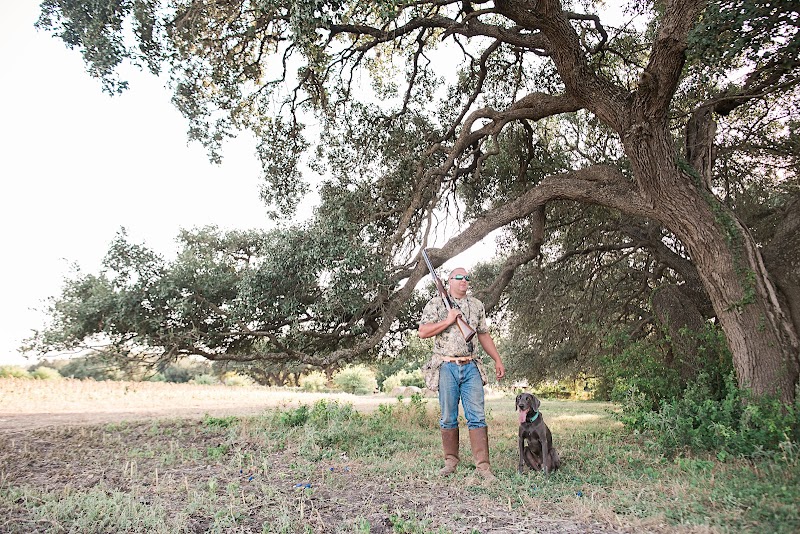 Bader Ranch Texas Dove Hunts - Photo 3